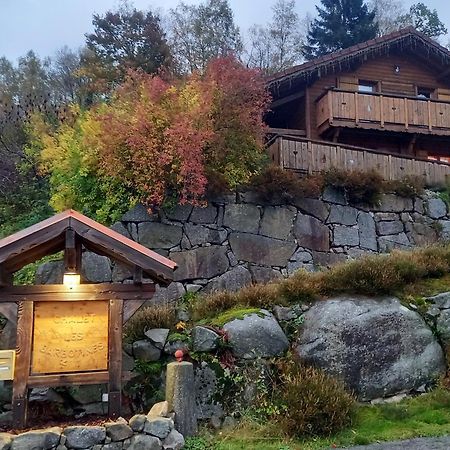 Chalet Typique Vosgien "Les Barbotines" Вантрон Экстерьер фото