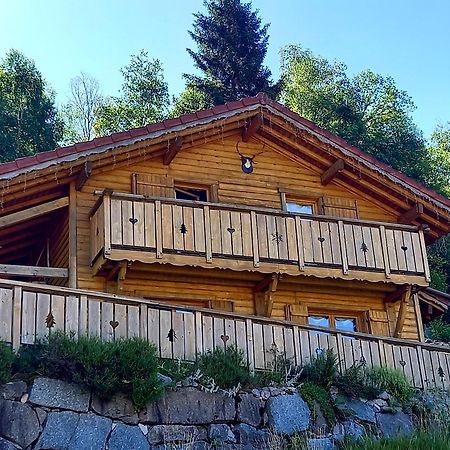 Chalet Typique Vosgien "Les Barbotines" Вантрон Экстерьер фото