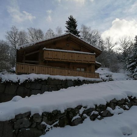 Chalet Typique Vosgien "Les Barbotines" Вантрон Экстерьер фото