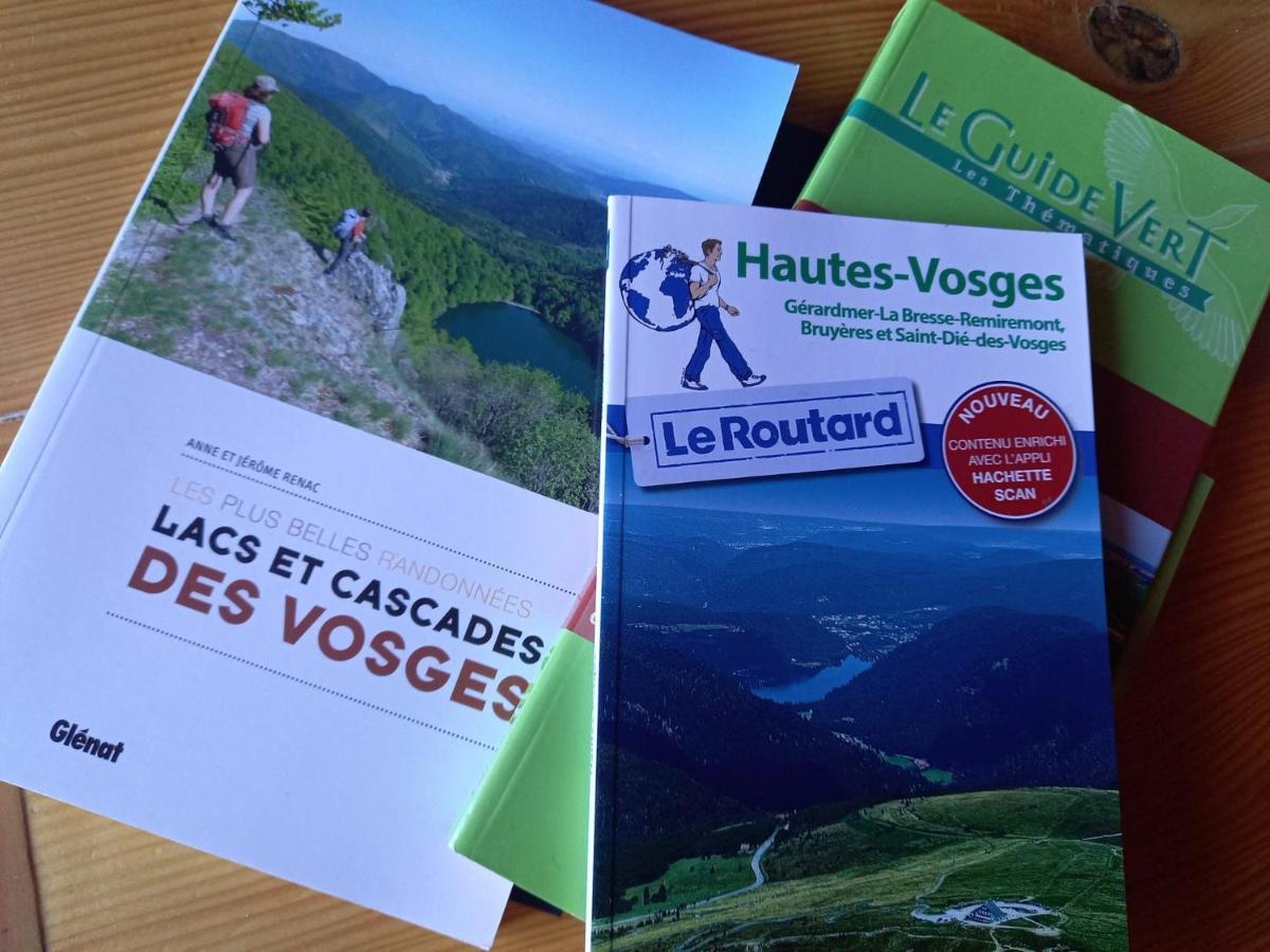 Chalet Typique Vosgien "Les Barbotines" Вантрон Экстерьер фото