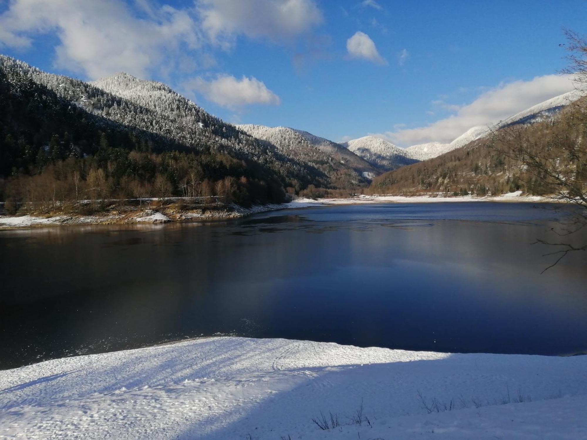 Chalet Typique Vosgien "Les Barbotines" Вантрон Экстерьер фото